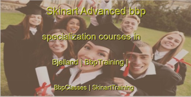 Skinart Advanced bbp specialization courses in Bjelland | BbpTraining | BbpClasses | SkinartTraining-Norway